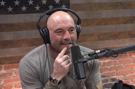 joe rogan panerai.